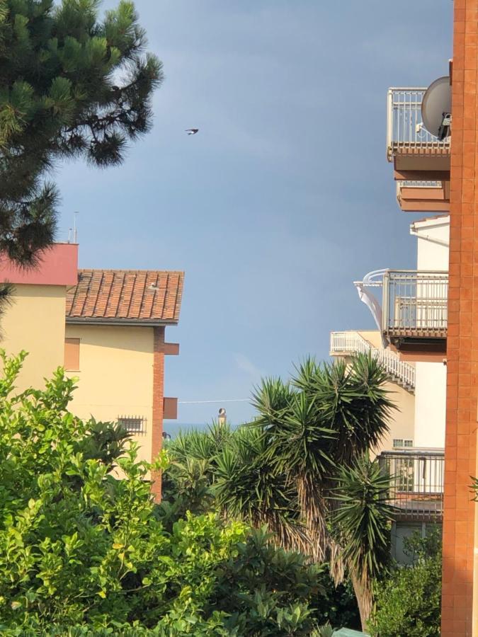 Moonlight Next Palapellicone Tra Mare E Pineta Monolocale Lido di Ostia Exterior foto